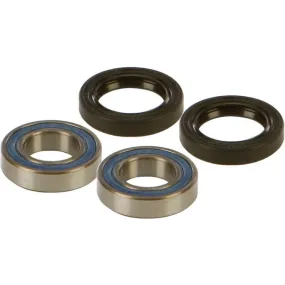 All Balls Wheel Bearing & Seal Kit | 25-1092