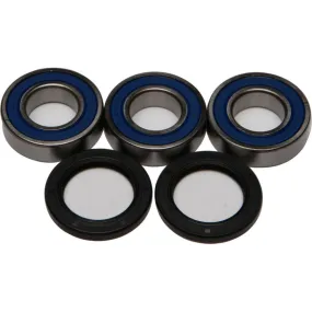 All Balls Wheel Bearing & Seal Kit | 25-1255