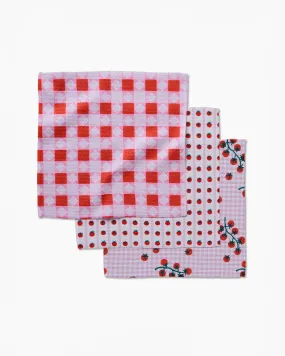 Quilt Tomato Harvest Dishcloth Set